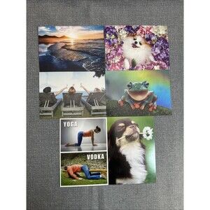 Lot Of 6 Greeting Cards Mixed Birthday